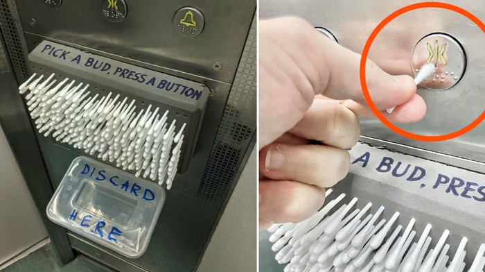 cotton bud cotton bud