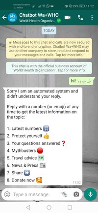 Saat detikINET menjajal chatbot WHO di WhatsApp.