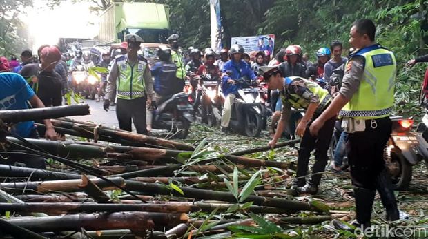 Sempat Tertimbun Bambu, Ruas Jalan Sukabumi-Bogor Kembali Lancar