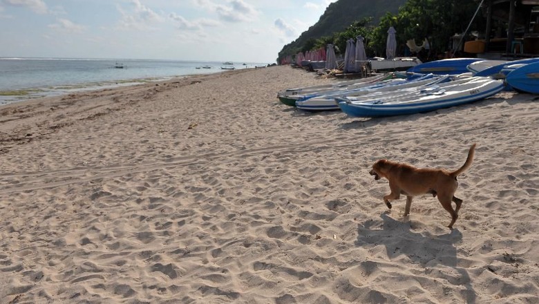 OBJEK WISATA DI BALI DITUTUP SEMENTARA Petugas berjaga di kawasan wisata Pantai Pandawa yang ditutup sementara di Badung, Bali, Sabtu (21/3/2020). Pengelola sejumlah destinasi pariwisata di wilayah Kabupaten Badung seperti Pantai Pandawa, kawasan Garuda Wisnu Kencana, Hutan Kera Sangeh serta Taman Ayun mulai menghentikan operasionalnya sementara sebagai salah satu upaya pencegahan penyebaran COVID-19 atau Virus Corona. ANTARA FOTO/Fikri Yusuf/aww.