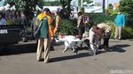 Surabaya Pakai Drone untuk Semprot Disinfektan di Jalanan