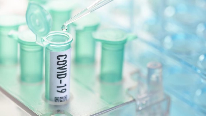 Corona virus: vial with pipette in laboratory
