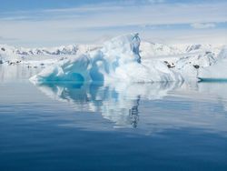 Bukti Perubahan Iklim di Antartika yang Ditangkap iPhone