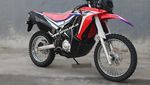 Penampakan Motor Murmer Kloningan CRF250 Rally
