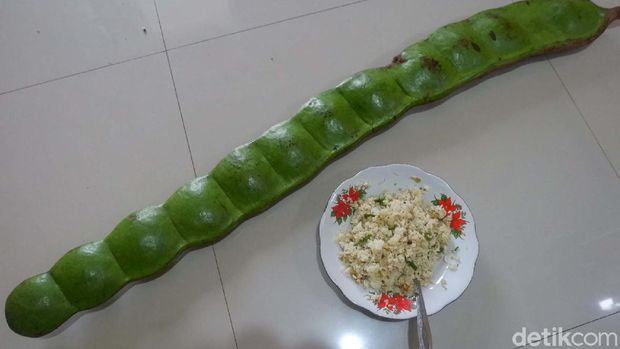 Penampakan 'petai' raksasa yang bikin geger Banjarnegara