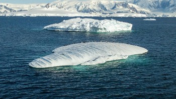 Manfredi Gioacchin telah melakukan perjalanan ke seluruh dunia selama kariernya. Foto: Manfredi Gioacchin via Petapixel