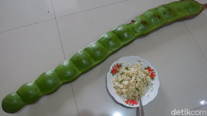 Buah pete raksasa dari hutan Banjarnegara