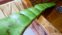  Warga tidak ada yang berani makan petai ini karena takut beracun.