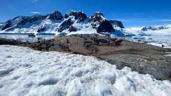 Di perjalanan ini, Gioacchini menangkap banyak foto. Dia memberi perhatian khusus pada foto yang menampilkan warna biru muda di beberapa gunung es. Foto: Manfredi Gioacchin via Petapixel