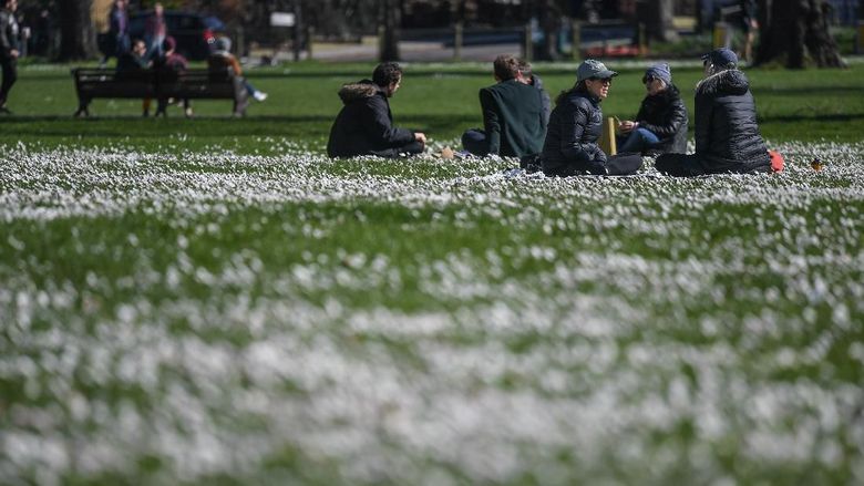 Lockdown London LONDON, ENGLAND - MARCH 22: People are seen sitting among daisies on Clapham Common on March 22, 2020 in London, United Kingdom. British Prime Minister Boris Johnson urged that people dont visit their parents this Mothering Sunday to curb the spread of COVID-19, which has killed 233 people in the UK. (Photo by Peter Summers/Getty Images)
