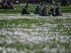 Lagi Lockdown, Pasangan Ini Malah Ena-ena di Taman