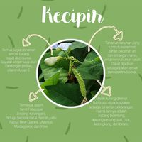 Rekomendasi Tempat Beli Sayur dan Buah Online Saat Social Distancing