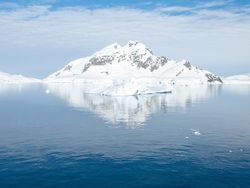 Bukti Perubahan Iklim di Antartika yang Ditangkap iPhone