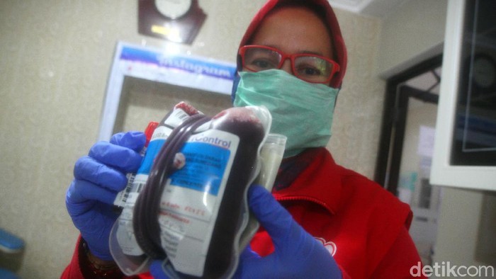 Petugas PMI perlihatkan kantung darah