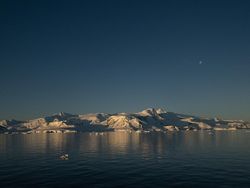 Bukti Perubahan Iklim di Antartika yang Ditangkap iPhone