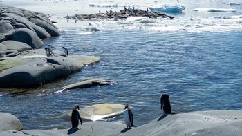 Menurutnya itu merupakan pertanda buruk karena bukti efek pemanasan global. Foto: Manfredi Gioacchin via Petapixel