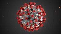 Kocak! Gorengan Ini Jadi Viral Karena Bentuknya Mirip Sel Virus Corona