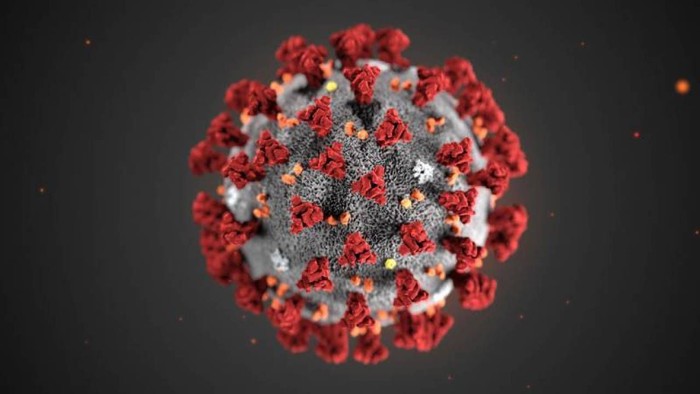 Gorengan Sel Virus Corona