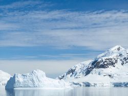 Bukti Perubahan Iklim di Antartika yang Ditangkap iPhone