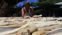Pekerja menjemur ikan asin di salah satu tempat produksi di Desa Padang Seurahet, Kecamatan Johan Pahlawan, Aceh Barat, Aceh, Selasa (24/3/2020).