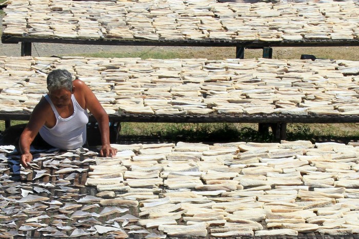 Pekerja menjemur ikan asin di salah satu tempat produksi di Desa Padang Seurahet, Kecamatan Johan Pahlawan, Aceh Barat, Aceh, Selasa (24/3/2020). Menurut para pelaku usaha ikan asin di kawasan itu, sejak dua pekan terakhir permintaan berbagai jenis ikan asin kualitas ekspor turun 50 sampai 80 persen dampak dari wabah COVID-19. ANTARA FOTO/Syifa Yulinnas/nz.