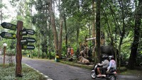 TSI Group yang mengelola empat taman di Indonesia yaitu Taman Safari Bogor, Taman Safari Prigen, Bali Safari Park, dan Batang Dolphins Center ditutup untuk umum hingga tanggal 3 April 2020.