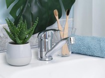 Deretan Tanaman Tangguh: Ada yang Cukup Dicelup hingga Kuat Seminggu Tanpa Air