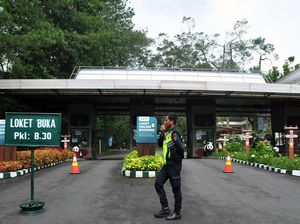 Serba-serbi Taman Safari Indonesia Termasuk Harga Tiket 2023