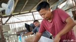 Melihat Pembuatan Peti Jenazah Khusus Korban COVID-19