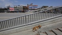 Keputusan pemerintah untuk mengeluarkan kebijakan tinggal di rumah datang beberapa jam setelah Nepal mengkonfirmasi kasus virus corona kedua pada hari Senin.