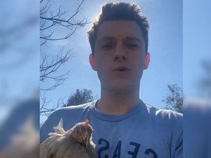 Tak Kebagian Telur, Tom Holland Pilih Pelihara 3 Ekor Ayam