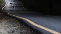 Kebijakan tersebut dilandaskan keputusan WHO untuk mencegah penyebaran pandemi Corona. Upaya pencegahan penyebaran virus Corona itu pun membuat sejumlah jalan di kawasan Nepal tampak sepi dari aktivitas warga.