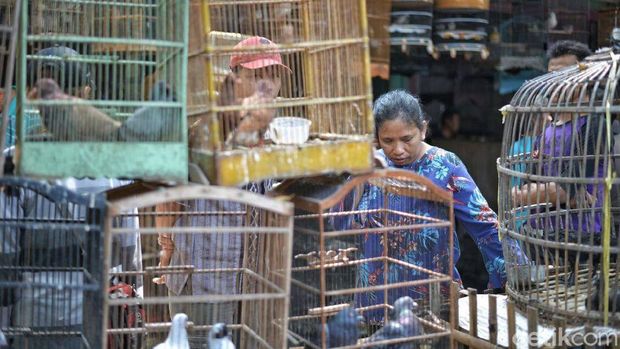 Pasar burung yang ditutup demi cegah corona