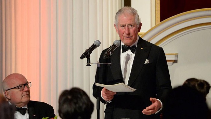 Raja Charles Ekspresikan Cinta untuk Pangeran Harry saat Pidato Perdana