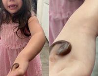 'Poop Challenge' Ajak Orang Tua Tirukan Feses Pakai Selai Kacang