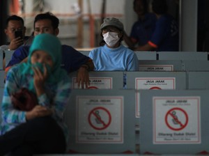3 Negara Minta Warganya Cepat Pulang, BNPB: Mereka Takut RS Tak Cukup