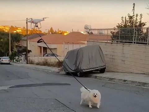 Drone tuntun anjing jalan-jalan di tengah pandemi corona