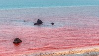 Warna merah dari laut dan tanahnya berasal dari gunung yang ada di pulau tersebut. (Getty Images/iStockphoto/Grigorev_Vladimir)