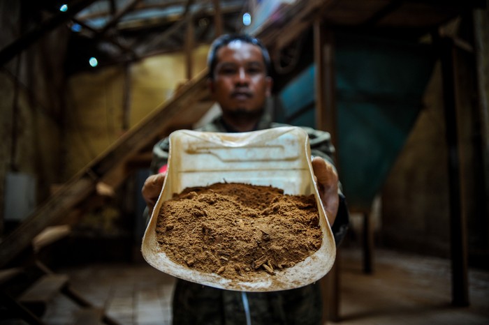Pekerja memasukan kulit pohon kina (cinchona) kedalam mesin penggiling untuk dijadikan kulit kina kering tepung di Pabrik Pengolahan Kina milik PTPN VIII Bukit Unggul, Kabupaten Bandung, Jawa Barat, Kamis (26/3/2020). Ketua Perhimpunan Dokter Paru Indonesia (PDPI) Agus Dwi Susanto menyatakan, chloroquine yang terkandung dalam tanaman kina hanya cocok untuk penanganan infeksi virus corona (COVID-19) berat dan yang disertai komplikasi. ANTARA FOTO/Raisan Al Farisi/hp.