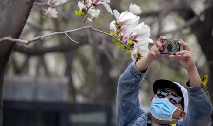 pariwisata china bangkit