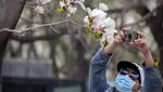 Potret Pariwisata China yang Bangkit Kembali