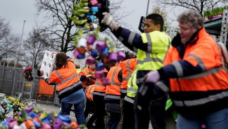Industri Bunga di Belanda Layu Industri Bunga di Belanda Layu