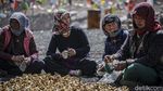 Jelajah Keindahan Pegunungan Himalaya dan Keberagaman di Spiti Valley