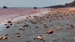 Begini, Nih Potret Pantai Semerah Darah
