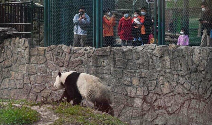 pariwisata china bangkit
