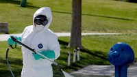 Patung katak di area taman disemprot disinfektan. 