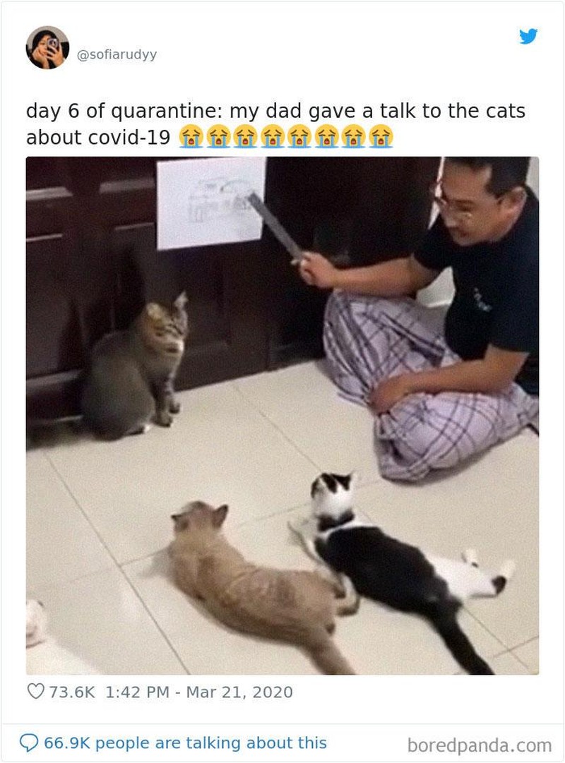 Kelakuan Kocak di Rumah Aja