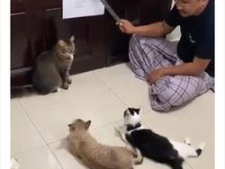 Bosan di Rumah Saja, Begini Kelakuan Kocak Warga