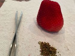 Bosan di Rumah Saja, Begini Kelakuan Kocak Warga