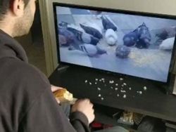 Bosan di Rumah Saja, Begini Kelakuan Kocak Warga